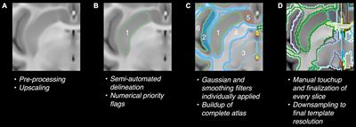 A Baboon Brain Atlas for Magnetic Resonance Imaging and Positron Emission Tomography Image Analysis